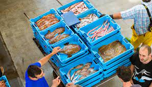 Garat (Cepesca): «Es incomprensible que no se elimine el IVA a los productos pesqueros»