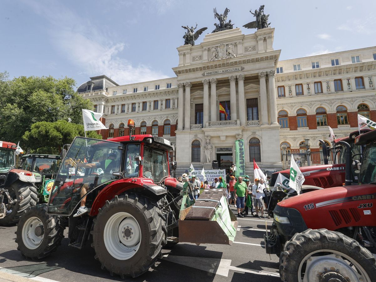 El campo español se contagia del francés y anuncia que saldrá a la calle