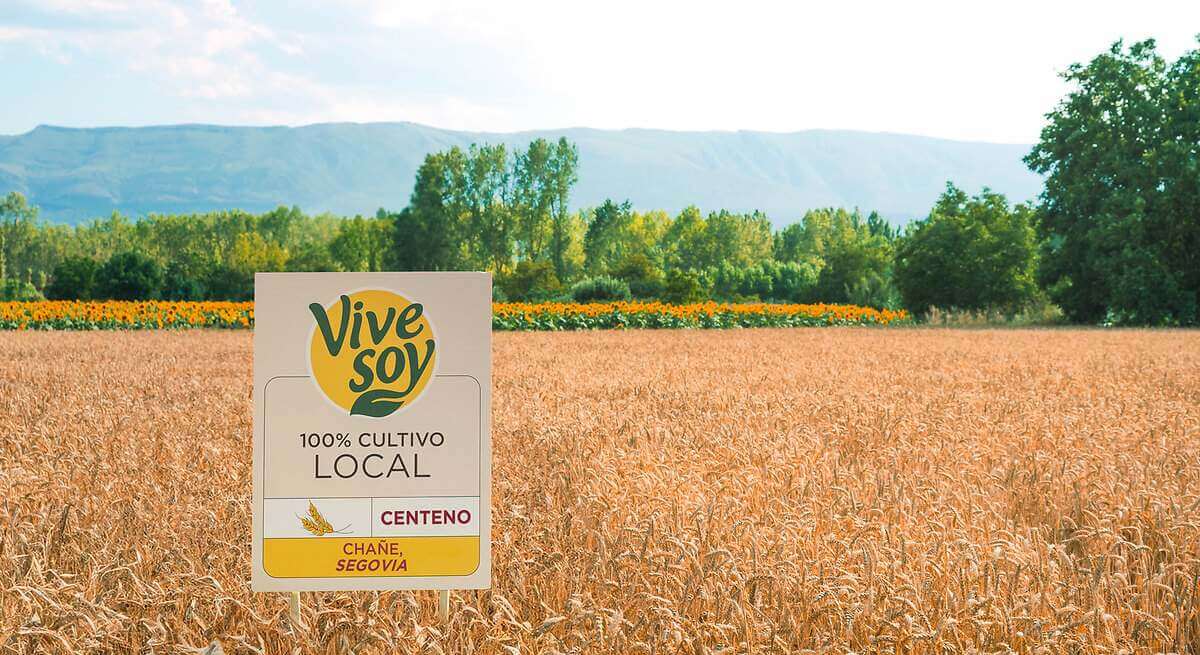 Pascual innova en alternativas vegetales con la primera bebida a base de centeno