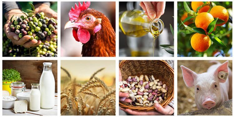 Las exportaciones de alimentos y bebidas logran nuevo récord al crecer 4,6% en 2023