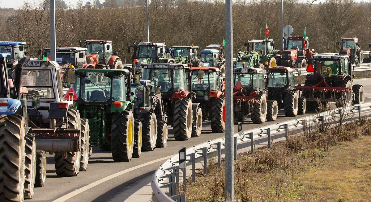 La industria agroalimentaria española se va a Marruecos para vender más barato en la UE