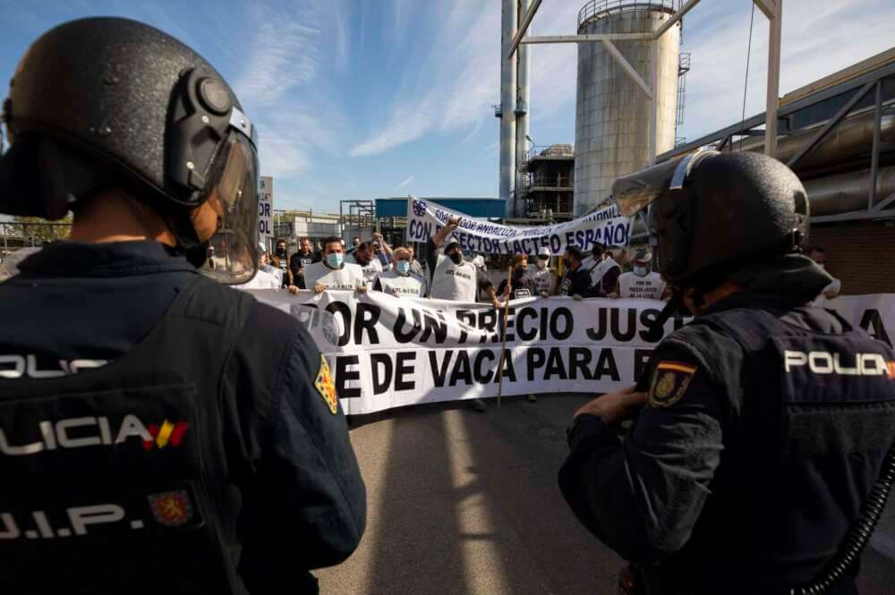 Los ganaderos preparan un aluvión de demandas contra el cártel lácteo en plena revuelta agrícola