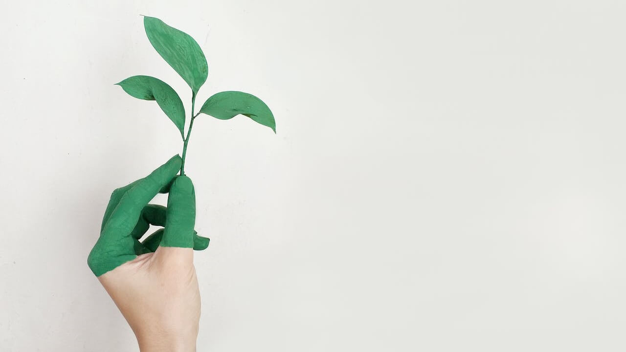 Las empresas españolas potencian sus equipos de sostenibilidad