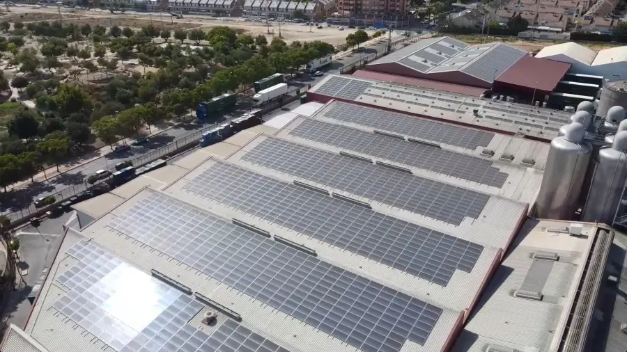 Estrella de Levante genera la energía necesaria para un mes de producción con su planta fotovoltaica de autoconsumo
