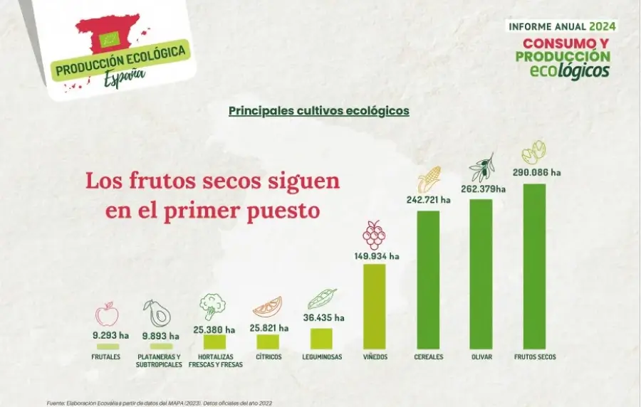 España se afianza en el top 10 de los países con mayor cuota de mercado bio