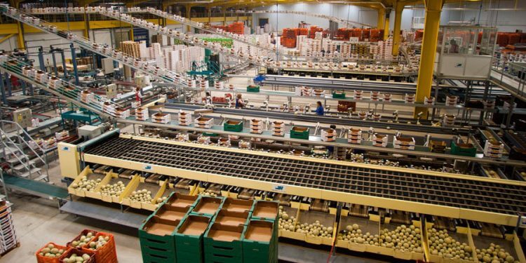 Las exportaciones agroalimentarias y pesqueras suben un 3% en 2023 y logran la cifra récord de 70.431 millones