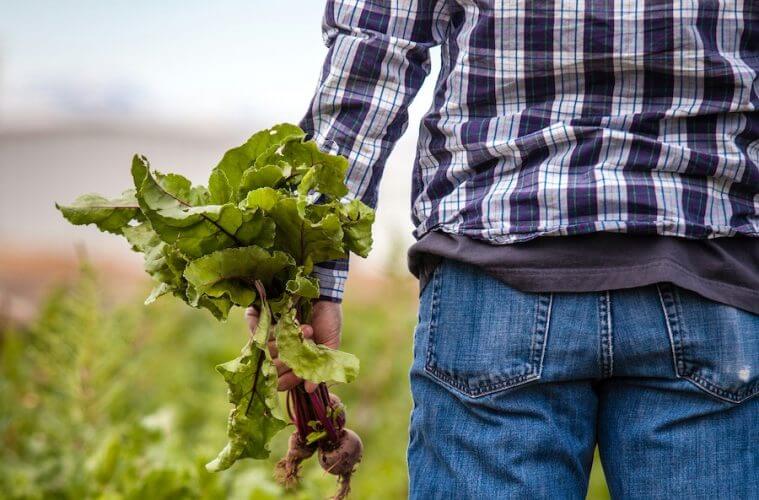 ¿HA DADO RESPUESTA LA COMISIÓN EUROPEA A LAS RECLAMACIONES DE LOS AGRICULTORES Y GANADEROS?