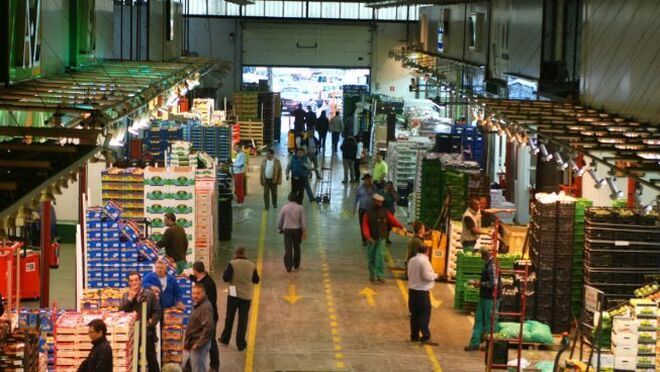 Mercamadrid cerró 2023 con un beneficio neto de 6,1 millones, el 3,45% más
