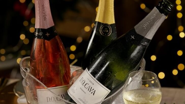 La DO Cava cierra 2023 con 252 millones de botellas vendidas, récord de ventas
