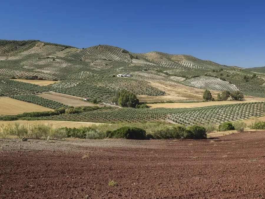 El Gobierno amplía a 85 millones de euros el crédito disponible para financiar sector agroalimentario y pesquero