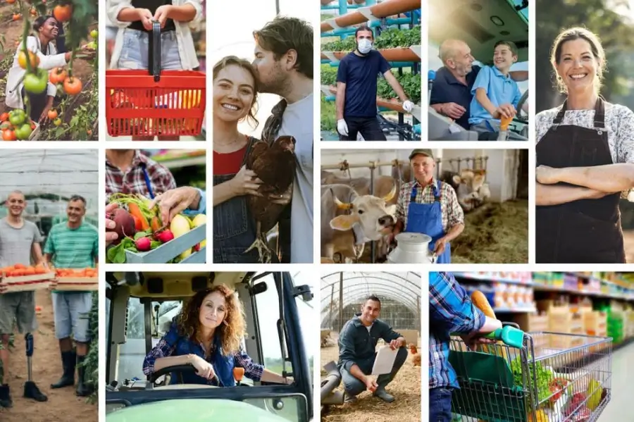 Informe sobre la aplicación de las normas de la UE contra las prácticas comerciales desleales en la cadena de suministro alimentario