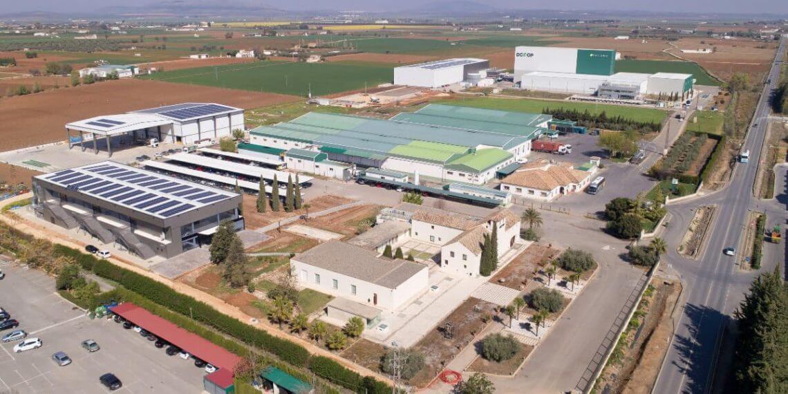 Dcoop eleva su facturación un 14% hasta alcanzar los 1.409 millones de euros en 2023