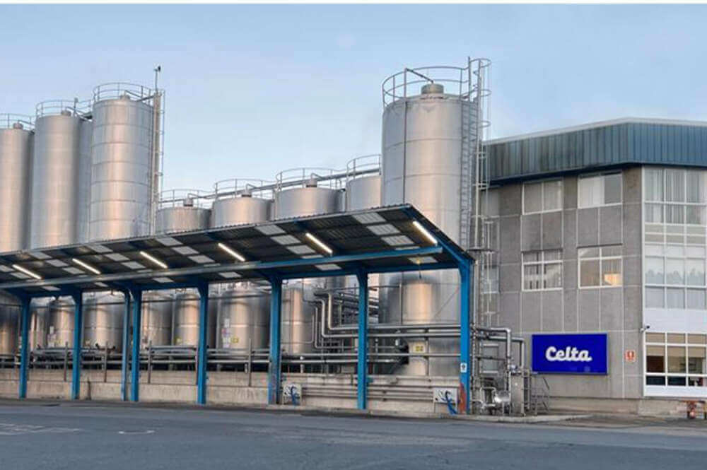 Leche Celta crece a doble dígito y supera los 340 millones en ventas el año en el que diversificó su negocio