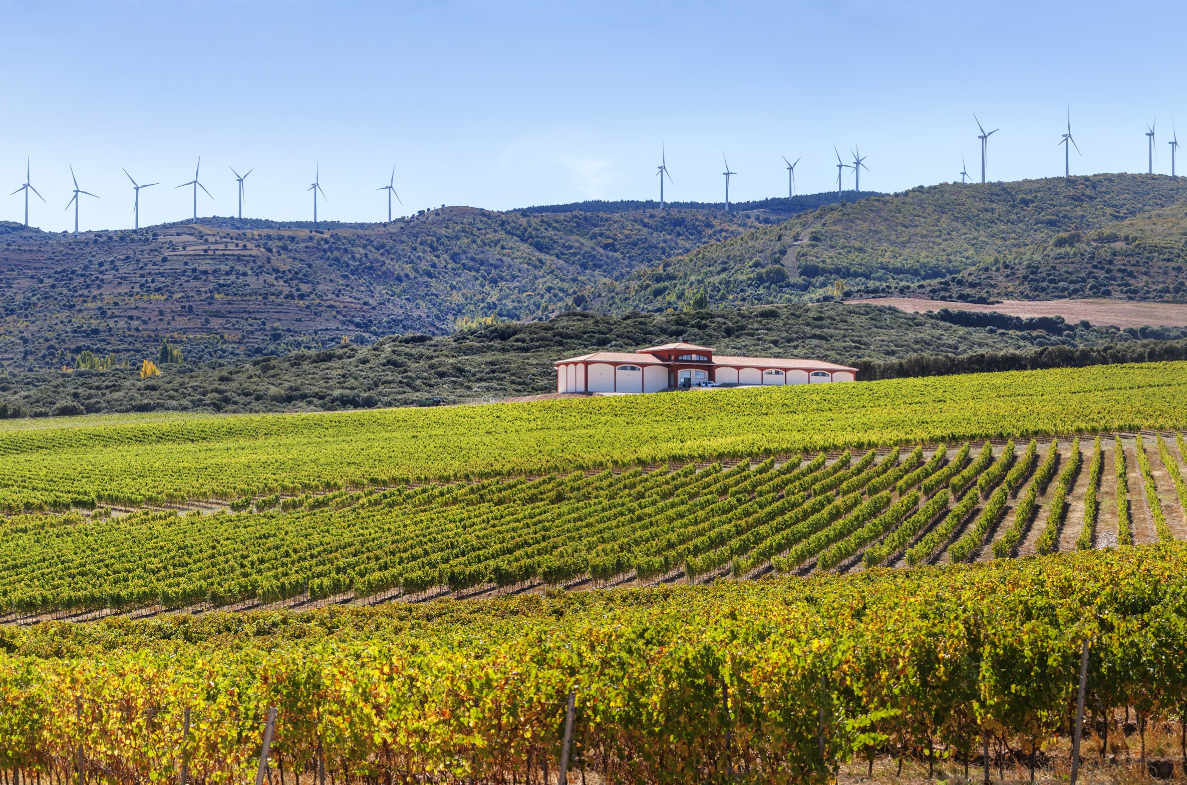 El Coto de Rioja eleva hasta los 997 metros la cota máxima en los viñedos de la D.O.Ca Rioja