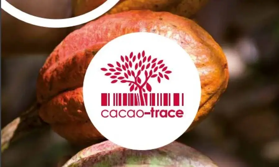 La crisis del cacao impulsa la producción sostenible en el sector