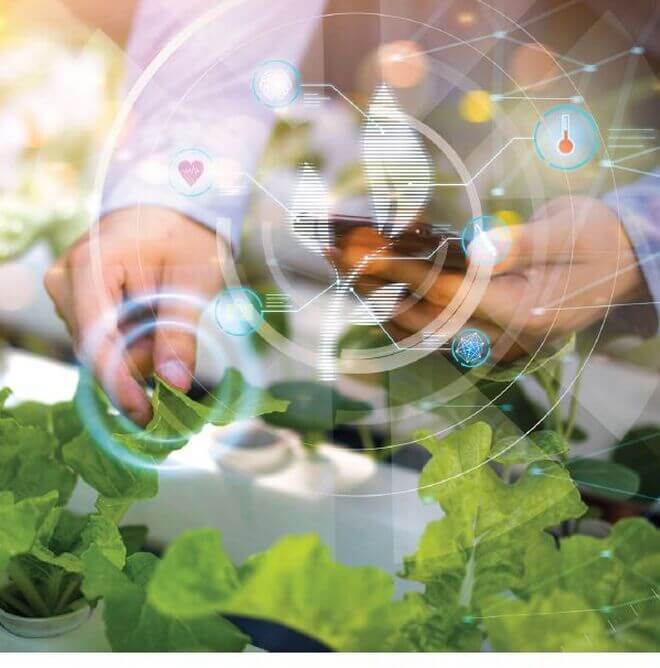 Innnovación: un factor decisivo con ratios de éxito mejorables