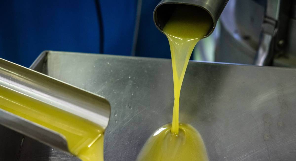 El precio del aceite de oliva bajará a partir de septiembre gracias a una «gran cosecha»