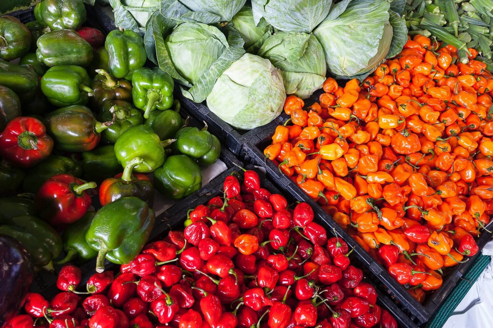 El Gobierno promociona en EEUU los alimentos españoles que son «una forma de entender la vida»