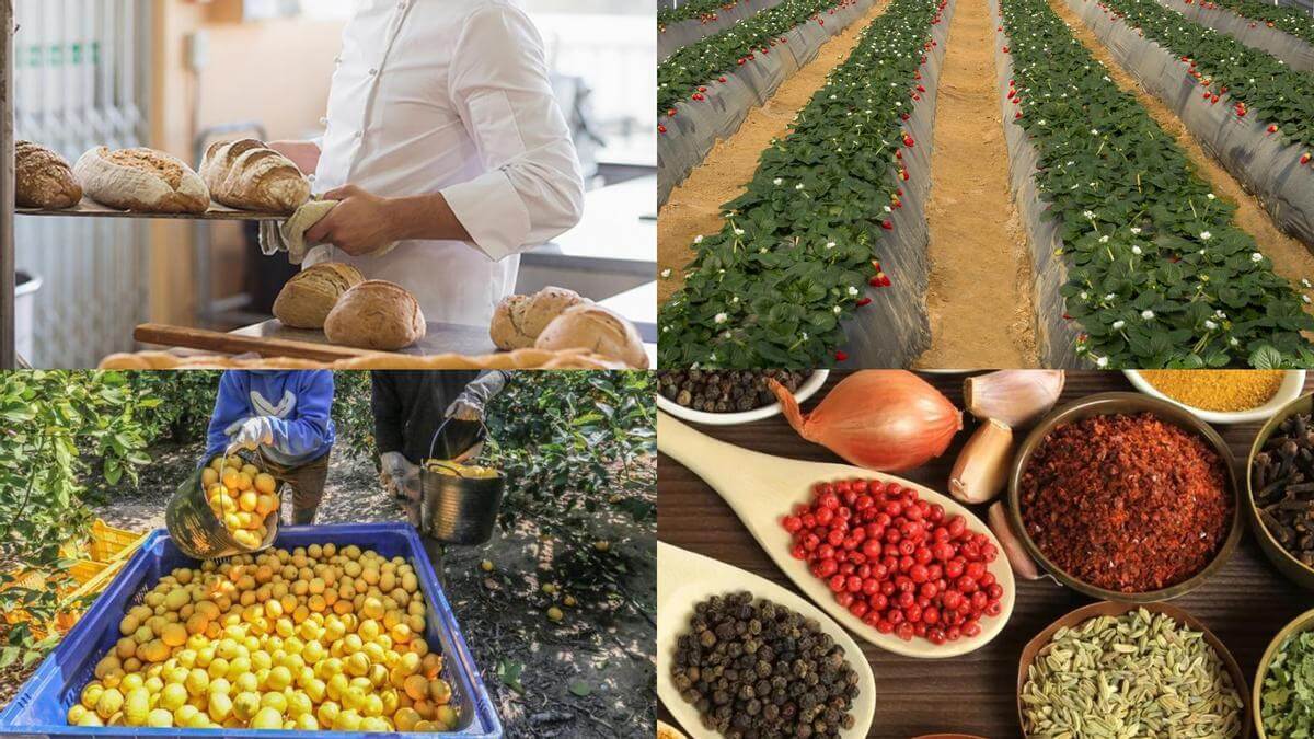 Fondos e inversores ponen el foco en el sector de la alimentación con operaciones por 8.000 millones