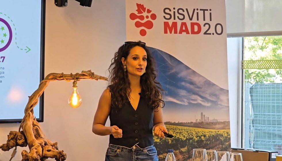 El sector vitivinícola madrileño, hacia un entorno digitalizado