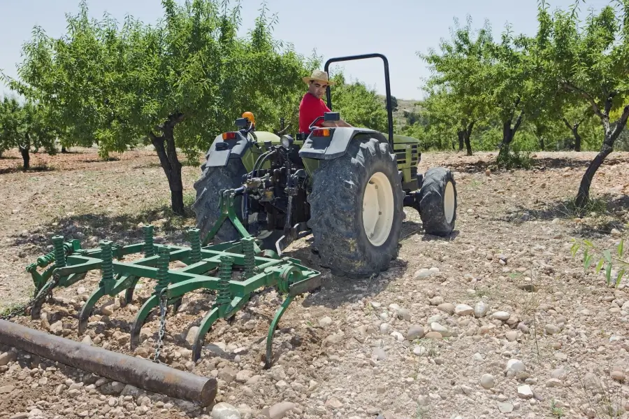 50 millones de euros para el olivar andaluz: ayudas para mejorar la rentabilidad del olivar