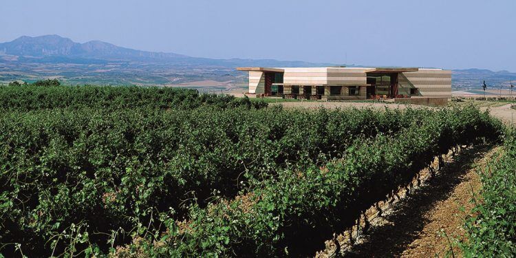 Pernod Ricard venderá su portafolio de vinos internacionales a Australian Wine Holdco Limited