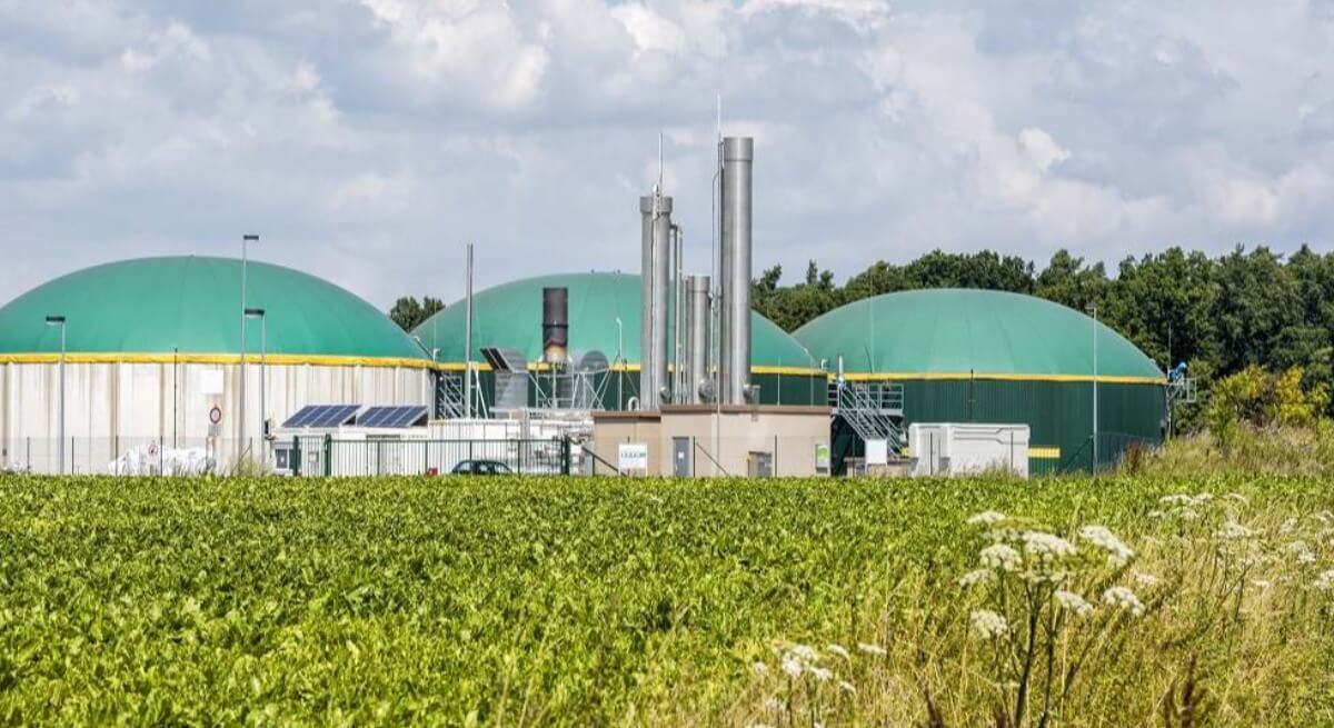 Los gigantes aceiteros entran en el biometano con inversiones de 137 millones en Jaén
