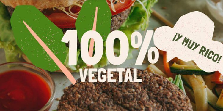Revolugreen!, división de Grupo Palacios, continúa con su apuesta por la sostenibilidad
