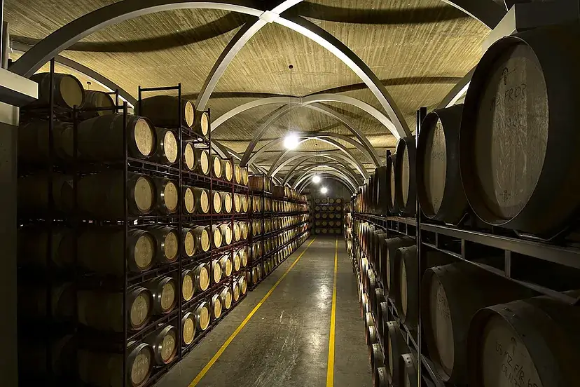 Las bodegas Juan Gil invierten en vino 0,0 y bebidas con bajo alcohol para esquivar la caída del consumo