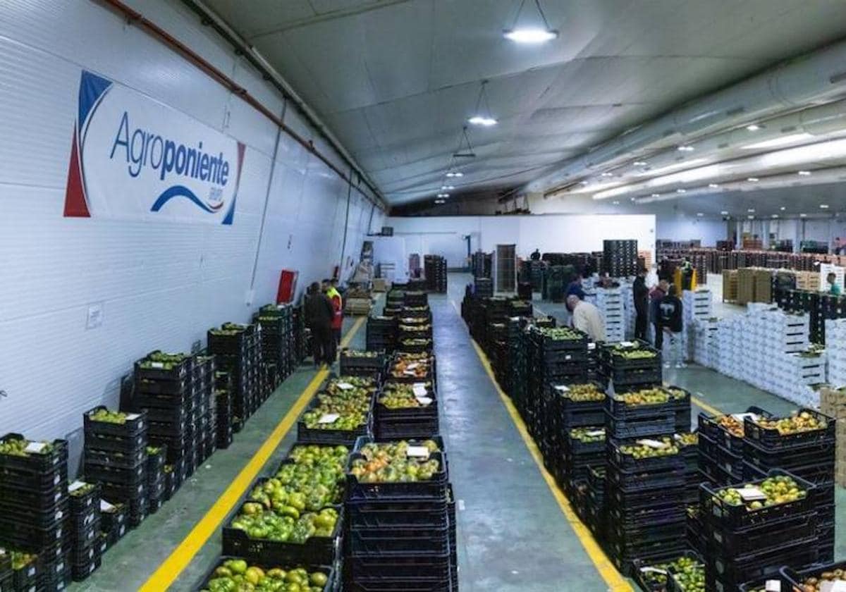 Grupo Agroponiente abre nuevos centros de recogida en Cuevas del Almanzora, ‘La Michelín’ y Carchuna