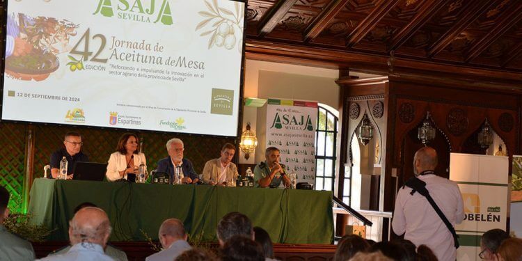 La escasez de aceitunas dispara precios y genera tensión en el mercado