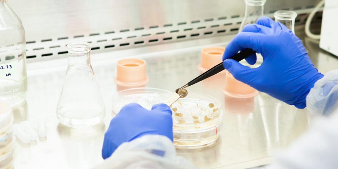 Pascual Innoventures destina dos millones a la investigación de los alimentos del futuro