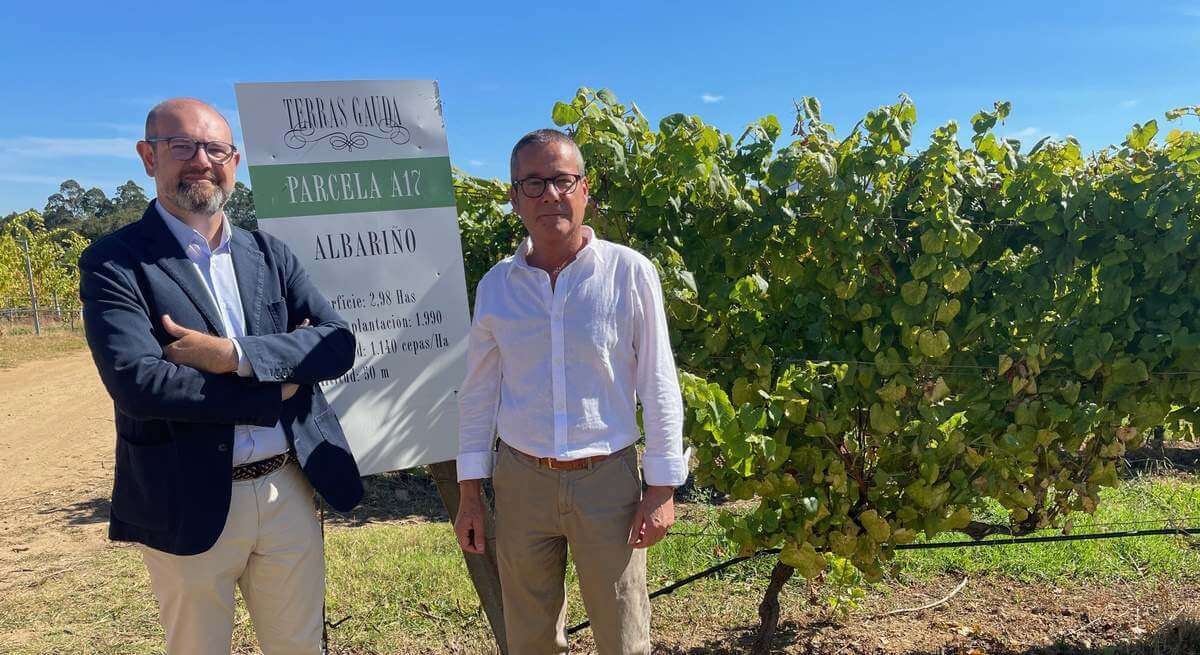 Terras Gauda ensaya la viticultura del futuro con estrategias de gestión sostenible del viñedo