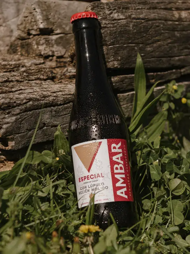 La mejor cerveza del mundo se elabora a orillas del Ebro: Ambar Especial y su elaboración única