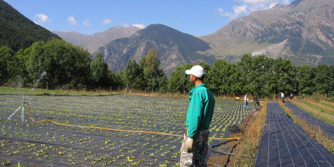El sector ecológico es “estratégico y prioritario” para el Ministerio de Agricultura