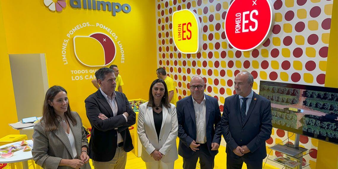 Ailimpo renueva su imagen corporativa