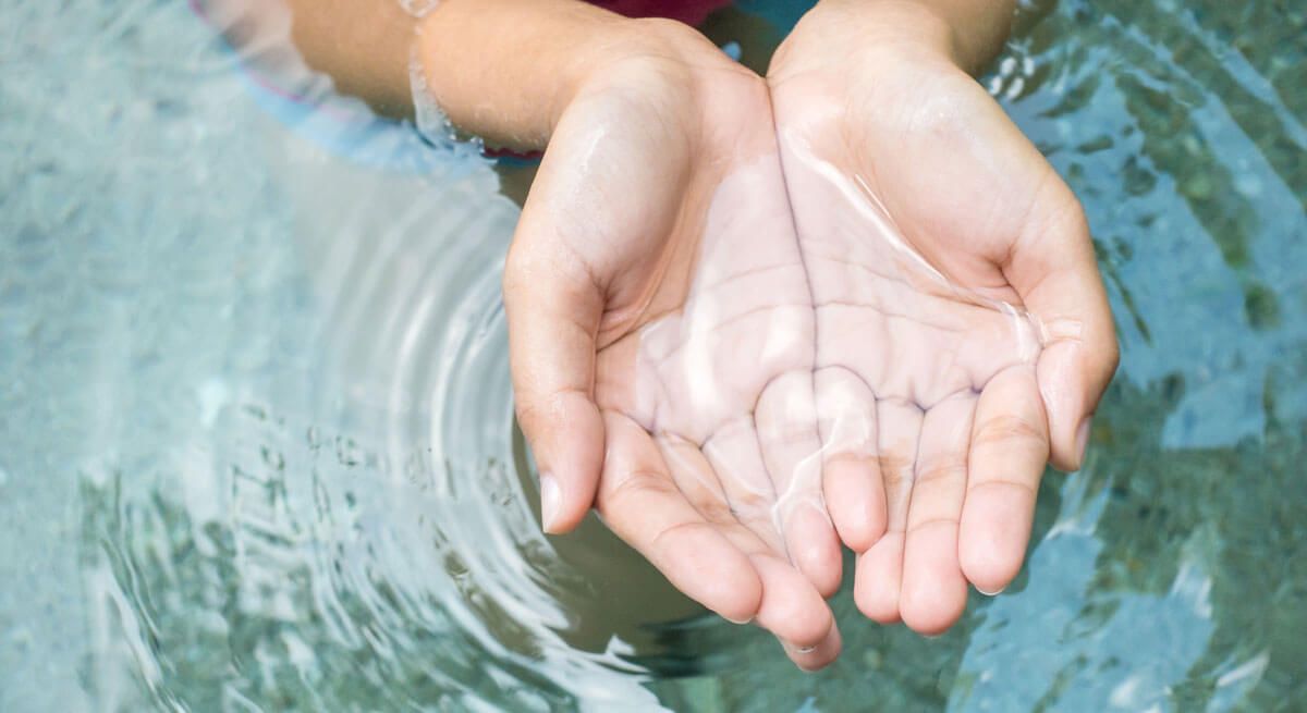 Financiar la sostenibilidad medioambiental: un gran reto de compromiso y transparencia