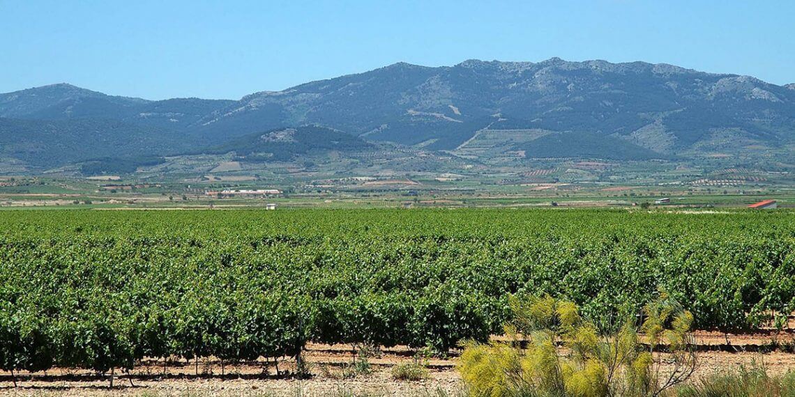 Bruselas registra la nueva DOP de vino de pago Urbezo