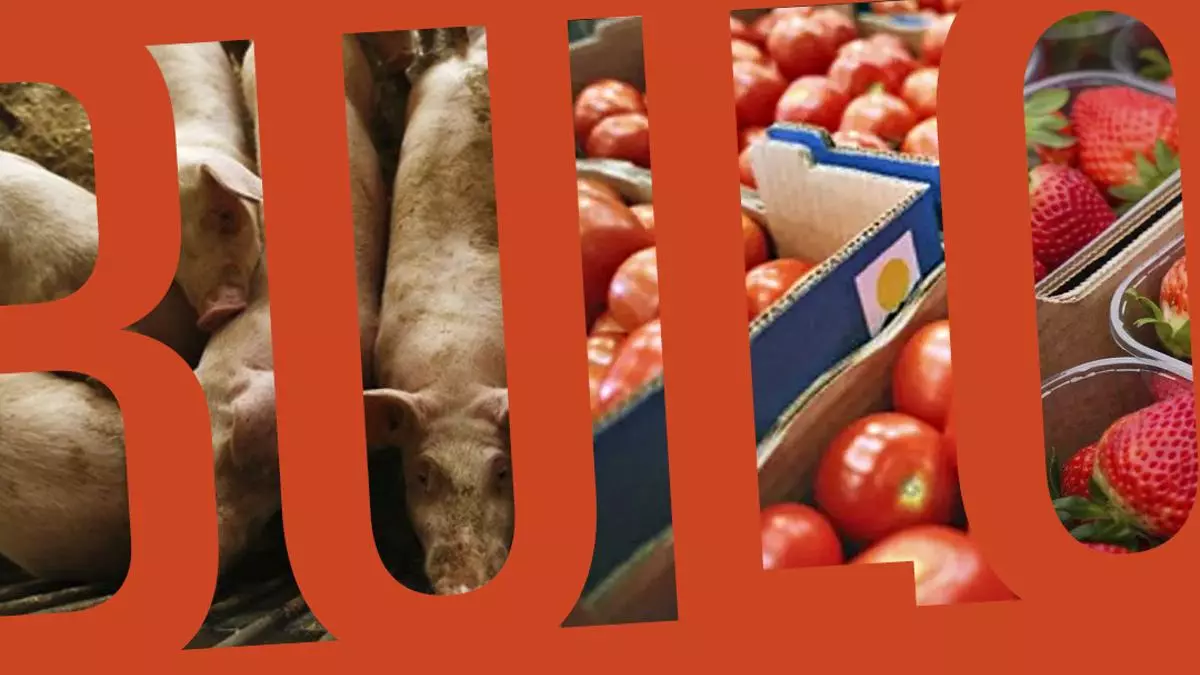 La industria alimentaria se queja del daño de los bulos y las falsas alertas: “Pueden suponer una caída de ventas del 15%”