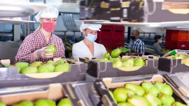 Vima Foods negocia su entrada en España pese a su liderazgo en distribución alimentaria en América