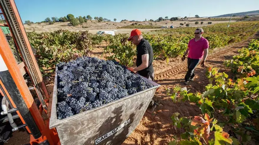 El vino culmina un 2024 complejo por la sequía y espera nuevas oportunidades con el acuerdo UE-Mercosur