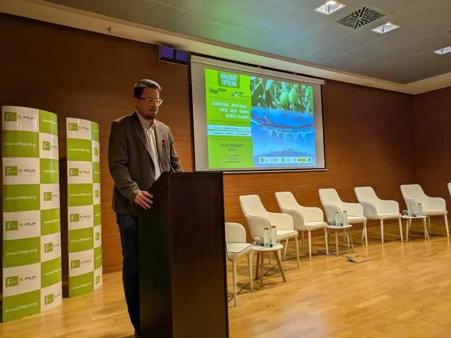 Expertos debaten cómo optimizar la cadena de valor del aceite de oliva frente al cambio climático