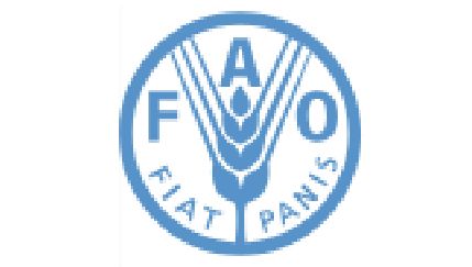 La FAO advierte de que la globalización ha abaratado los alimentos, pero ha potenciado los ultraprocesados