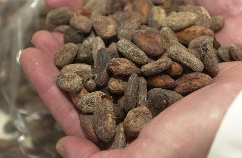 El nuevo precio del cacao amenaza a los fabricantes de chocolate