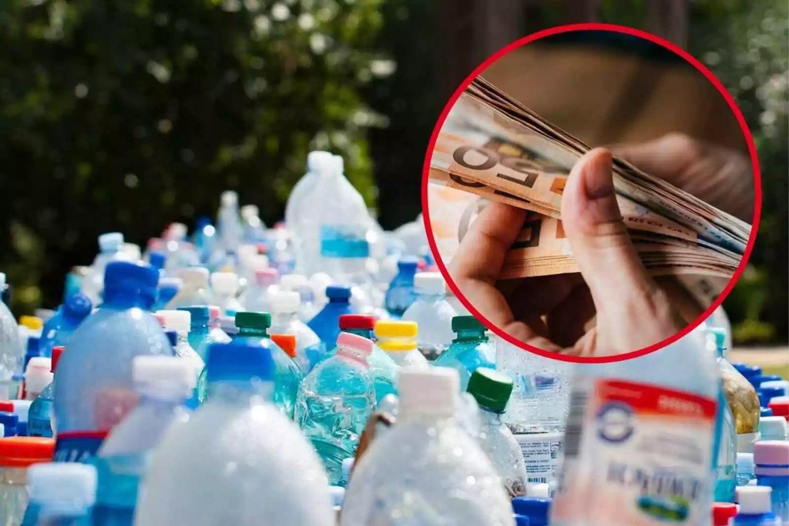 Adiós a tirar las botellas de plástico al contenedor: te darán dinero si haces esto