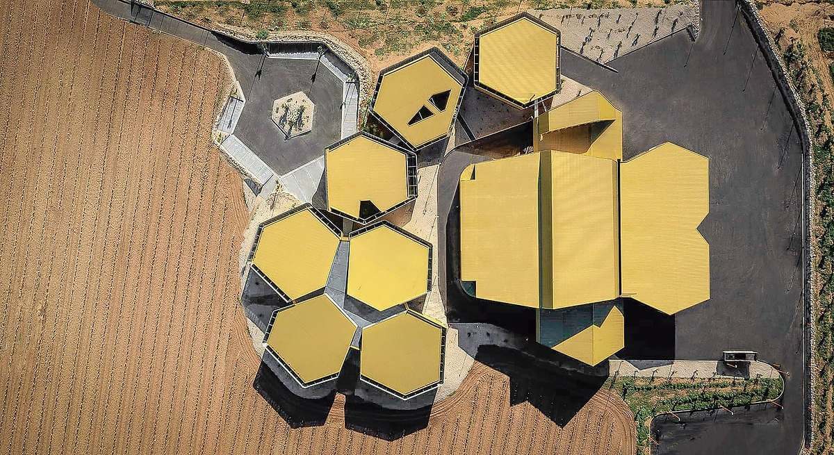 Coosur abre al oleoturismo su almazara vanguardista de Jabalquinto, en el corazón del olivar jienense