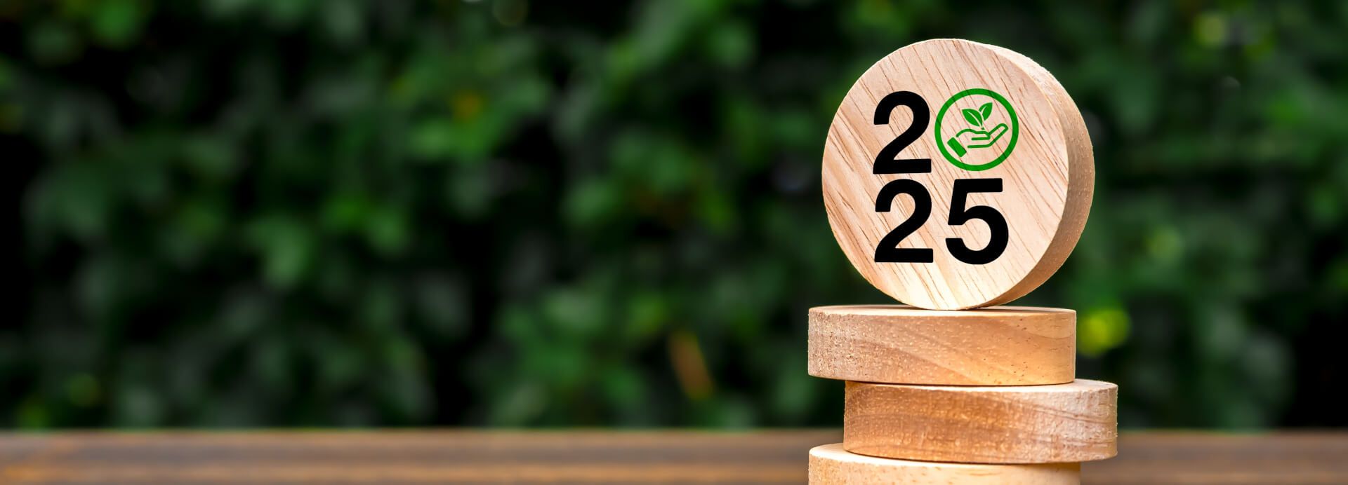 Las tres grandes tendencias que impulsarán la sostenibilidad empresarial en 2025