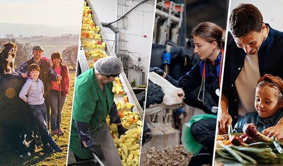 La Comisión Europea crea el Comité Europeo de Agricultura y Alimentación