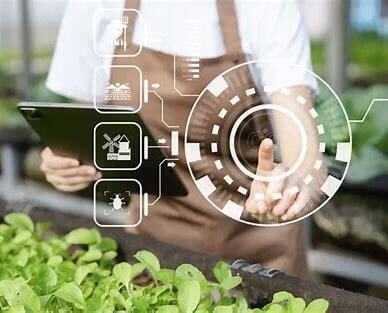 La IA transformará la relación de las empresas de gran consumo con el canal foodservice