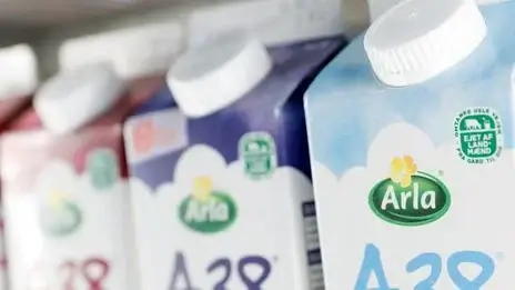 El grupo lácteo Arla prevé mayores ingresos en 2025 al subir los precios